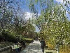 -元大都城垣遗址公园