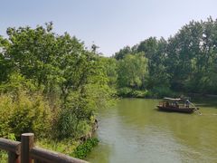 -溱湖国家湿地公园