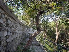 -香山公园