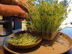 -盡膳口福跷脚牛肉火锅(北美新天地店)