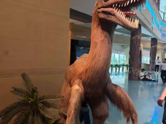 -安徽省地质博物馆