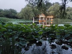 -北陵公园