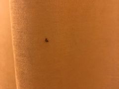 -苏州吴中白金汉爵大酒店