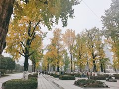 -两江幸福广场