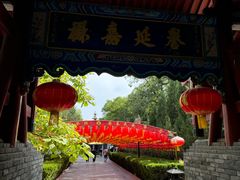 -大槐树寻根祭祖园