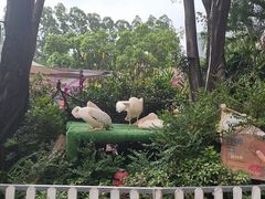 -广州长隆国际大马戏