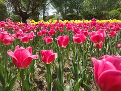 -长春公园(普阳街道)