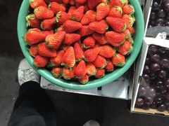 -江杨农产品批发市场