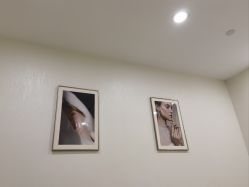 -智美品质医美