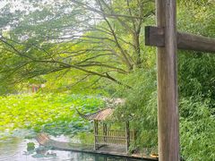 -兰亭风景区