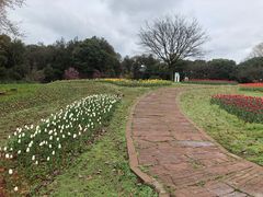 -保利石象湖景区