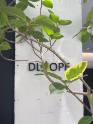 -DL HOPE造型