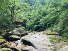-少华山国家森林公园