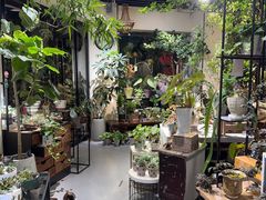 -弗劳尔花艺坊(龙涛店)