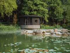 -四海公园(南山区)