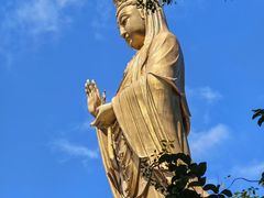 -普陀山风景名胜区-法雨禅寺