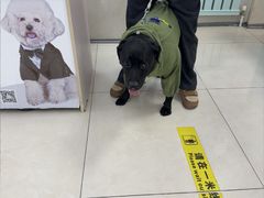 -北京观赏动物医院·24小时大型综合·猫专科·异宠专科