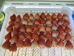 -栗子侠奶皮子糖葫芦(长宁店)