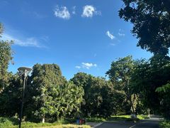 -张坝桂圆林公园