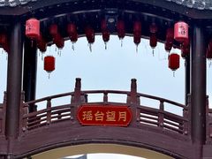 -大唐贡茶院