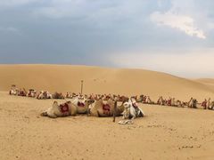 -银肯塔拉沙漠生态旅游景区