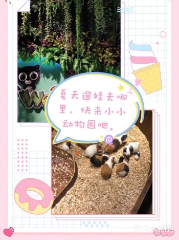 夏天遛娃去哪里，快来小小动物园吧。