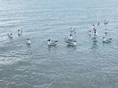 -青海湖二郎剑景区