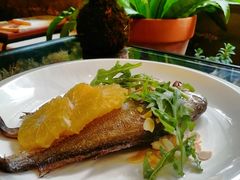 -PlantsEatery·植物食堂(REX春熙店)