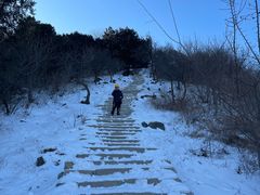 -北京西山国家森林公园