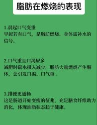 -Fundi张玉珊修身堂·indiba·BTL科技瘦身