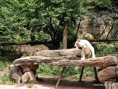 -贵州森林野生动物园