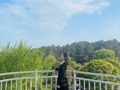 -铁山坪森林公园