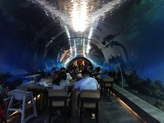 -海棠湾洲际-涛·海底餐厅·美人鱼·自助餐·海底隧道