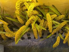 -王婆炒鱼(总店)