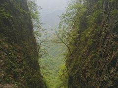-塔云山