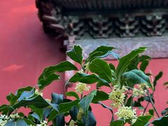 -北京市劳动人民文化宫(太庙)
