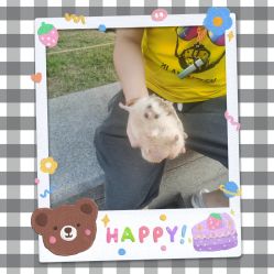 -尤尼可国际影像(万源分店)