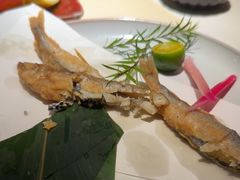 -乌君·酒场·炭火烧鸟(侨城坊店)