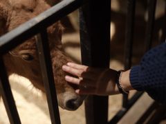 -zoonana室内动物园(东方福来德店)