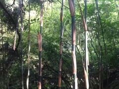 -白云源风景区