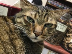 -么凤(波斯富街店)