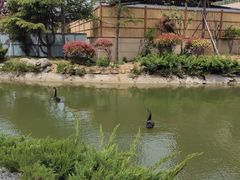 -芭东小镇温泉