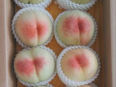 -老袁家蜜桃农场·阳山水蜜桃