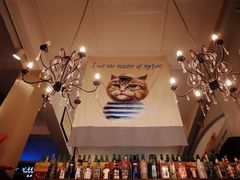 -猫咪博物馆(顶澳仔猫街店)