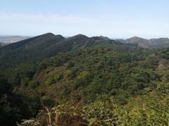 -金龙寺国家森林公园