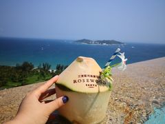 -瑰丽酒店·海吧·天际下午茶·现场DJ·天台酒吧