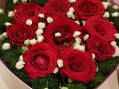 -渝福顺重庆火锅(雷锋路店)