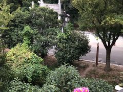 -旺山·浪头人家
