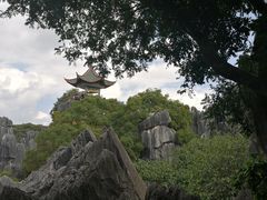 -春发生饭店·非遗(南院门店)