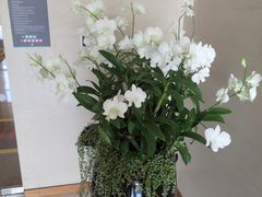 -曼谷铂尔曼皇权酒店